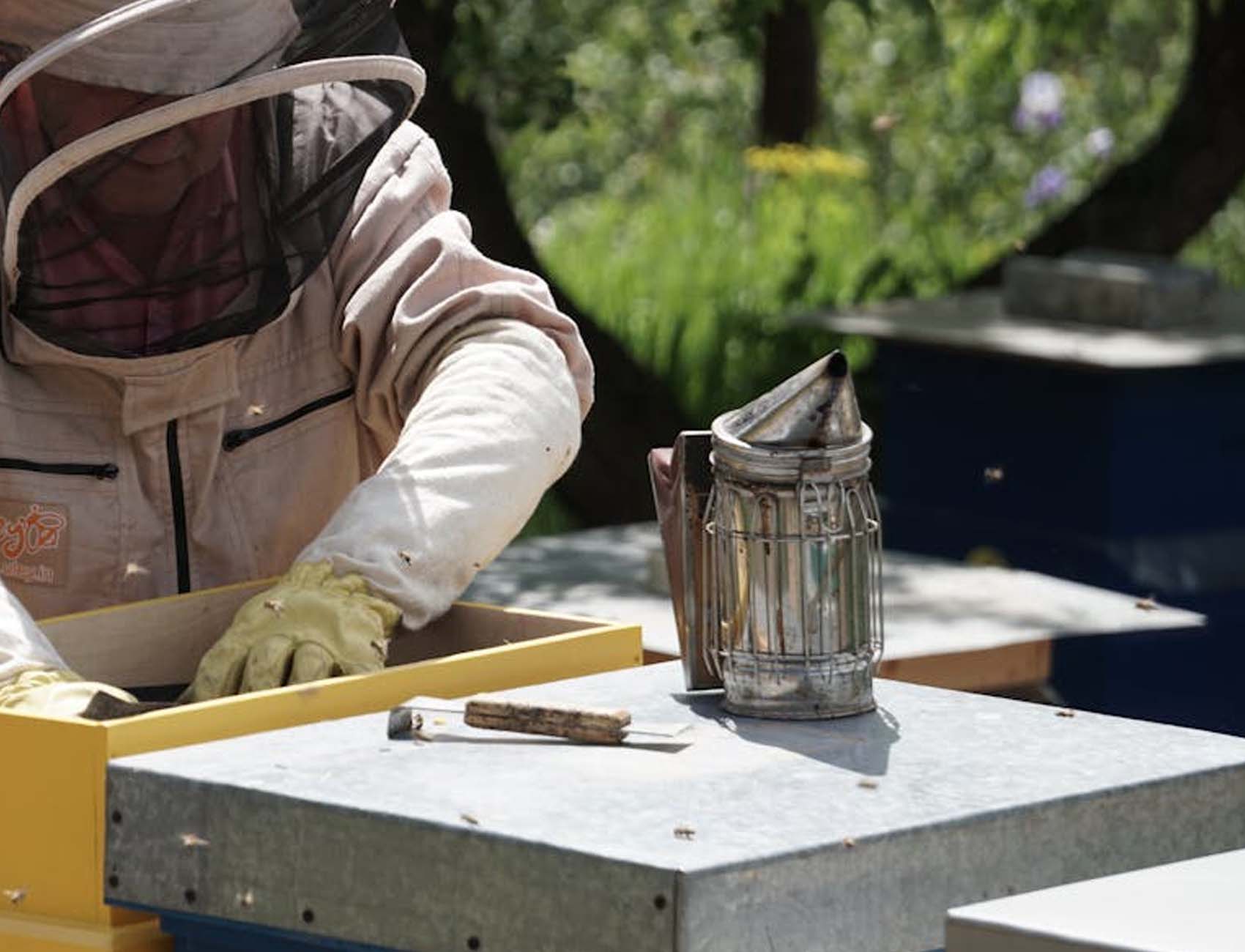APICULTURA ARTESANAL DE TRADICIÓN muusat miel de alta calidad artesanal de ayora